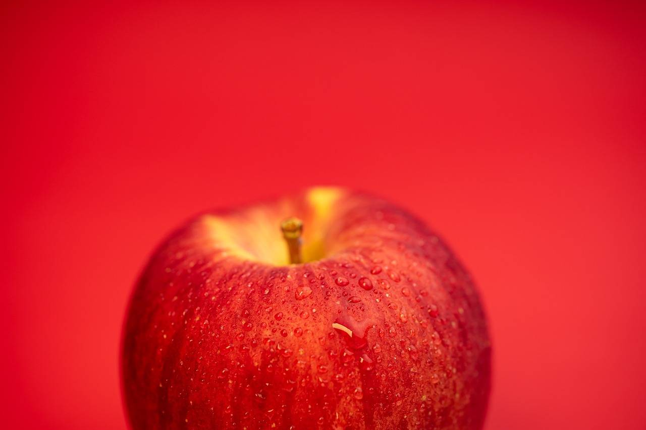 The Role of Technology in Patient Rehabilitation