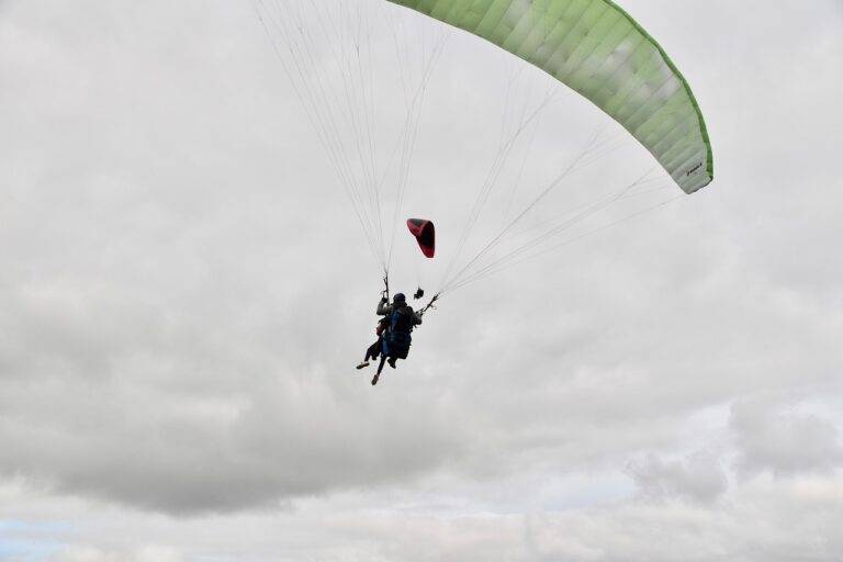 IPL and Data Analytics: How Numbers Are Changing the Game