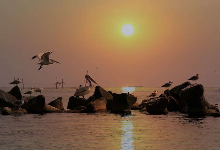 The Benefits of Group Travel Tours