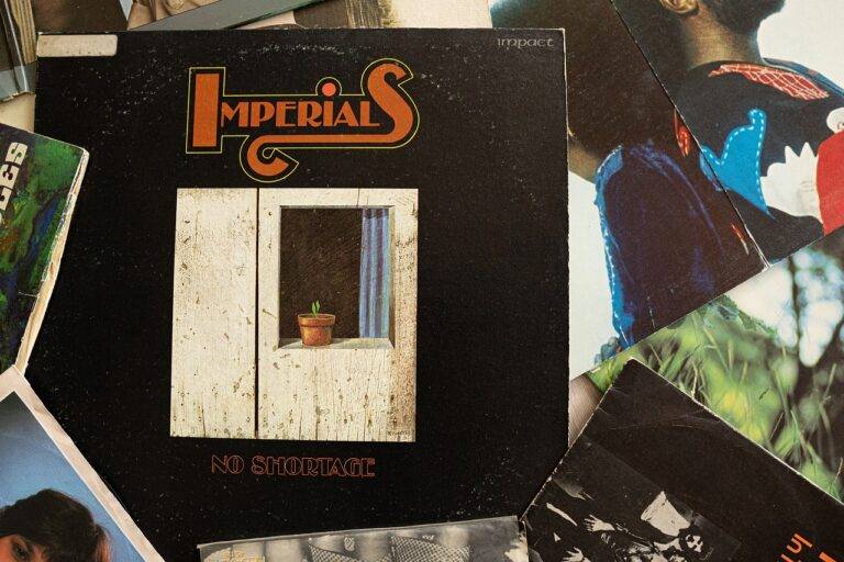 Exploring the World of Fan Merchandise: From T-Shirts to Action Figures