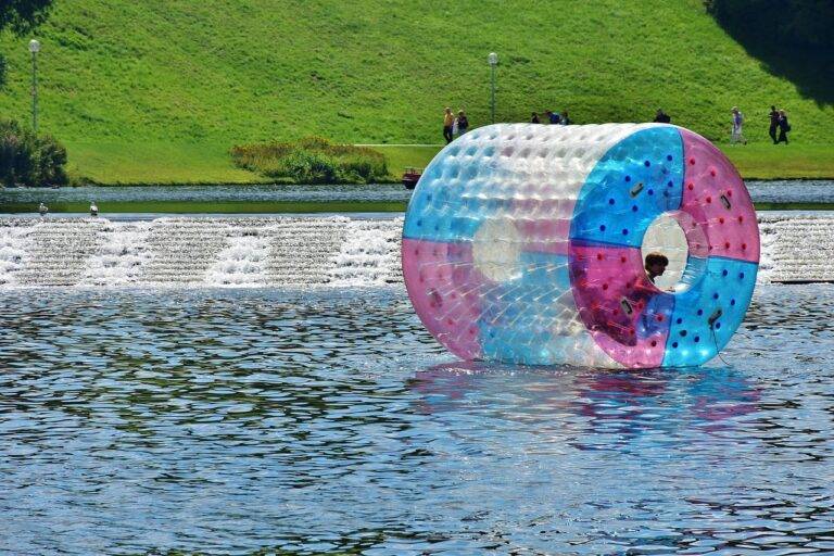 IPL’s Influence on Youth Participation in Cricket